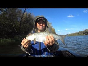 "На рыбалку на "Рыбе-молот" (АКЛ 4 из ПНД)" 10.10.2022, река Дон.