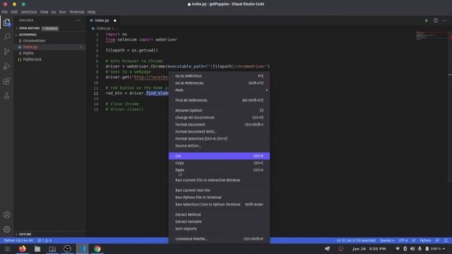 Get Covid Vaccine and Puppies using Python - Python/Selenium 101