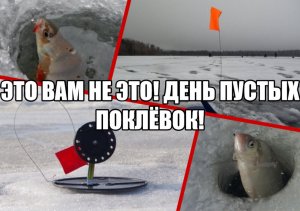 Это вам не это! День пустых поклёвок!