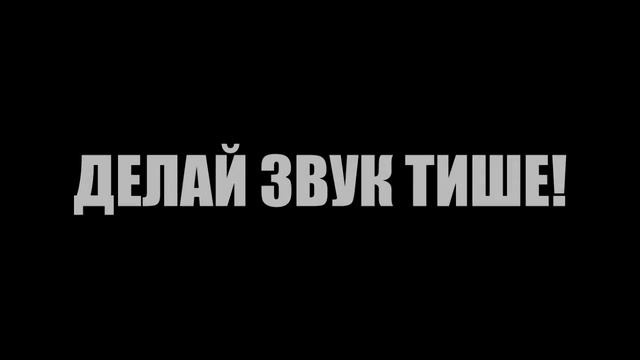 CS GO-Украинец говорит правду.Звезды как сильверы:D смотреть онлайн