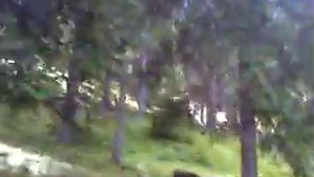 Foresta Valdaora смотреть онлайн