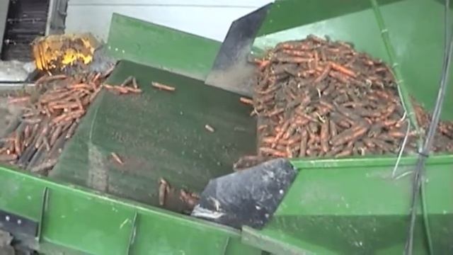 Мойка, камнеотборка,калибровка пастернака и моркови смотреть онлайн