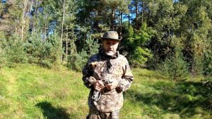 Безопасность в лесу. Нападение собаки. Средства защиты от собак