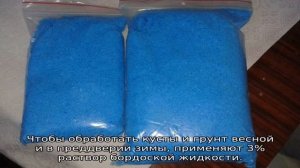 Обработка винограда медным купоросом весной