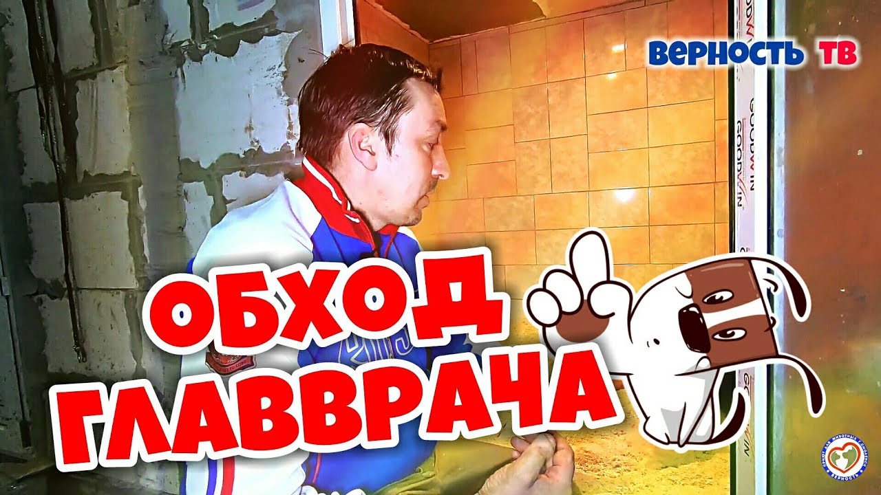 Спасаем бездомных животных  В ПЕРВОЙ В РОССИИ БЕСПЛАТНОЙ ВЕТСАНЧАСТИ
