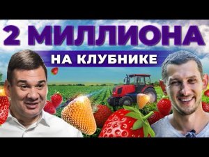 Сколько приносит ягода? Клубника, малина, смородина | Ягодный бизнес и риски | Андрей Даниленко.