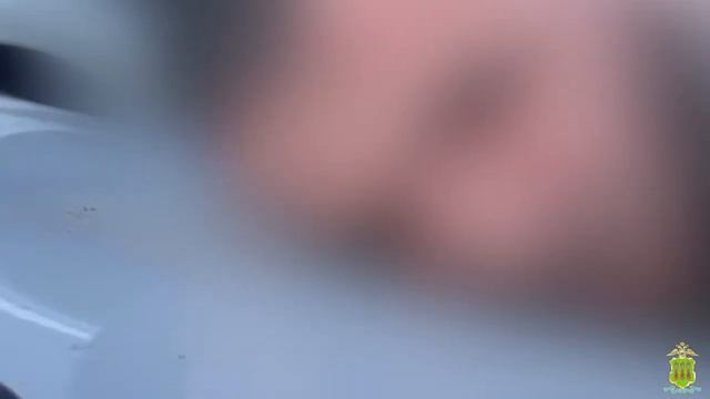 Пензенская полиция задержала наркокурьера, перевозившего 6 кг мефедрона под обшивкой дверей машины