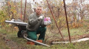 Укрываем виноград на зиму: пошаговый разбор надежного укрытия