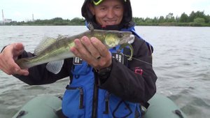 Рыбалка на Курчатовском водохранилище на судака в начале июня