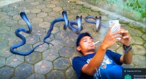 Прикольные микроклипы