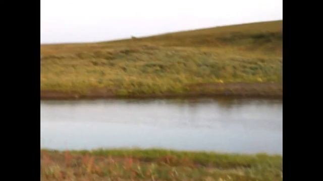 р.Сейда в 2017 г. смотреть онлайн