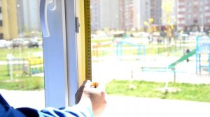 Как произвести замер проема окна для москитной сетки