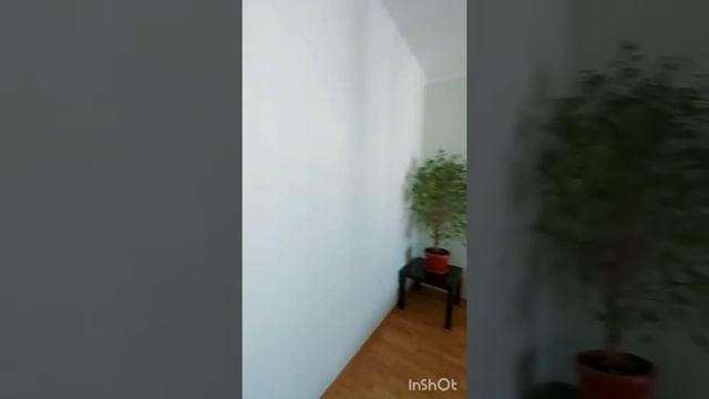 продажа 2-х ЖК Октябрьский. остаётся вся мебель и техника смотреть онлайн