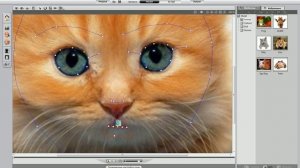Как создать анимацию из фотографии? [How to create an animation of pictures?]