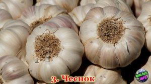 Обязательно Держите Нож, Кирпич и Соль под Кроватью!!!