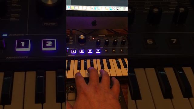 Jam with  my Novation Mininova