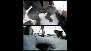 Ловля окуня в начале января.