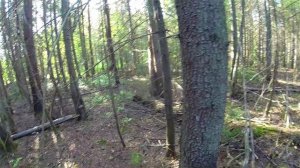 На краю села. Языческая роща. Корткерос. День.