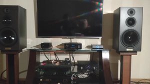 Большая полочная акустика Hi End от Flying Lemon Audio