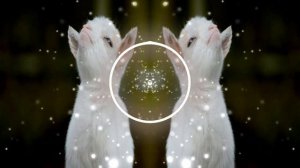 жесткий фонк ремикс на "а я никита ляляля"