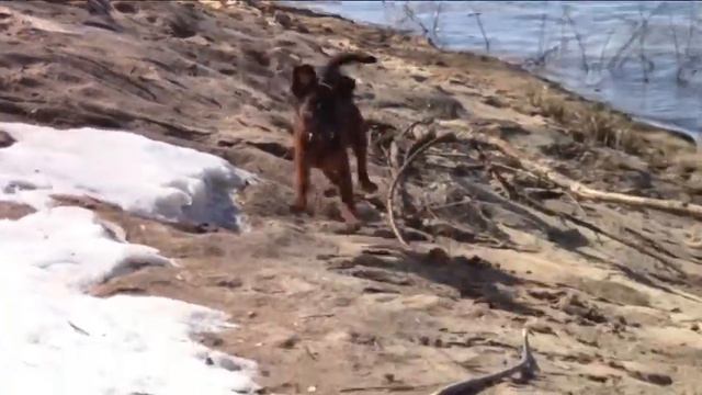 Тёма Мы Весна!!! смотреть онлайн