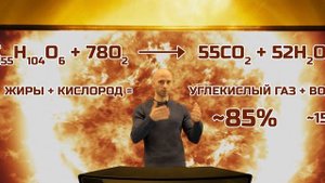 КАК ИСЧЕЗАЕТ ЖИР ИЗ ОРГАНИЗМА