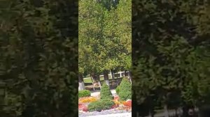 Зеленый остров, Черкесск