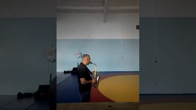 Вальс Е. Доги из к/ф Мой ласковый и нежный зверь. Саксофон. смотреть онлайн