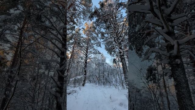 Петрозаводск: Гора большая Ваара, "Чёртов Стул", Ботанический сад ПетрГУ