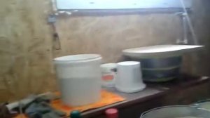 Выгодно ли содержать кур