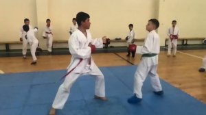 Комбинация ударов руками и ногами. Каратэ-до wkf.
