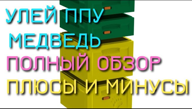 Улей ППУ Медведь Полный Обзор Плюсы и Минусы