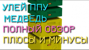 Улей ППУ Медведь Полный Обзор Плюсы и Минусы