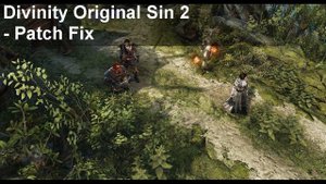 Divinity Original Sin 2 low FPS Fix