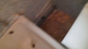 #затопление Соседи затопили сверху.