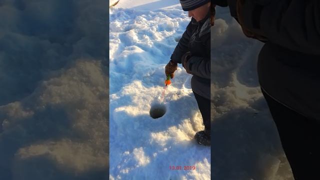 Речка! Елец,чебак!!!