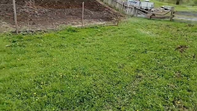 Самодельная борона для трактора Т-25 смотреть онлайн