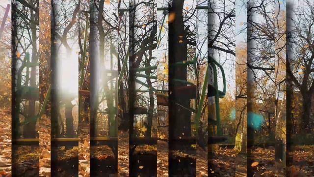 Розы 35. АЛЕКСАНДР АДЭ. ШКОДИН.