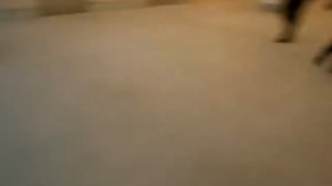 Обзор станции Технопарк сегодняшнего открытия 28.12.2015