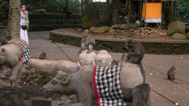 Нирартово Divx смотреть онлайн