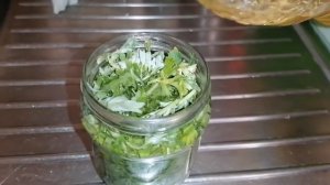 Масло полыни. Как сделать масло полыни в домашних условиях.