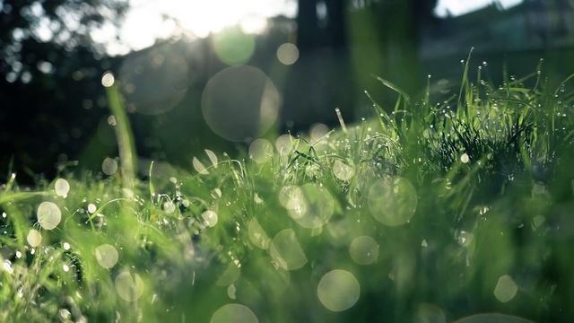 Истории из жизни. Свекровь потребовала, чтобы мы с мужем покинули дом, а теперь она настаивает смотреть онлайн