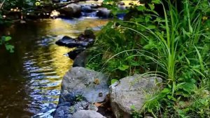 Релакс,музыка для сна,релакс 2019,пение птиц,природа,камни,вода,весна,лето,расслабление отдых