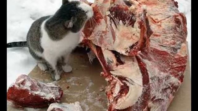 МЕНЯ ЗАКАЗАЛИ