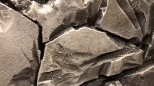 3d фон декор в аквариум?