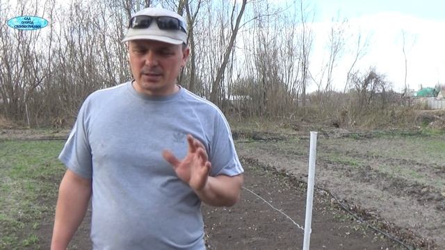ПРАВИЛЬНЫЙ ПОЛИВ И ПОДКОРМКА МАЛИНЫ