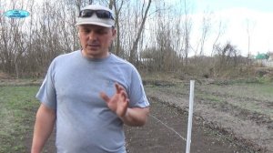 ПРАВИЛЬНЫЙ ПОЛИВ И ПОДКОРМКА МАЛИНЫ