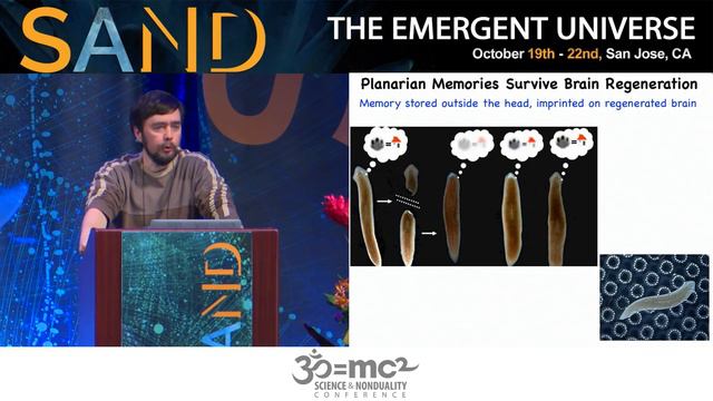 The Regenerative Wisdom of The Body: Michael Levin смотреть онлайн