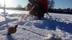 Рыбалка на ротана, ловля на мормышку  . 1 часть