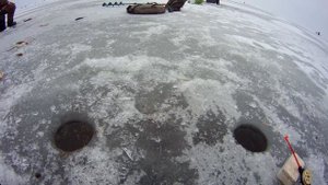 Ловля плотвы на Чудском озере.